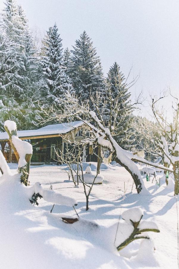 Blickinsfreie - Cabin Villa Schöneck Eksteriør billede