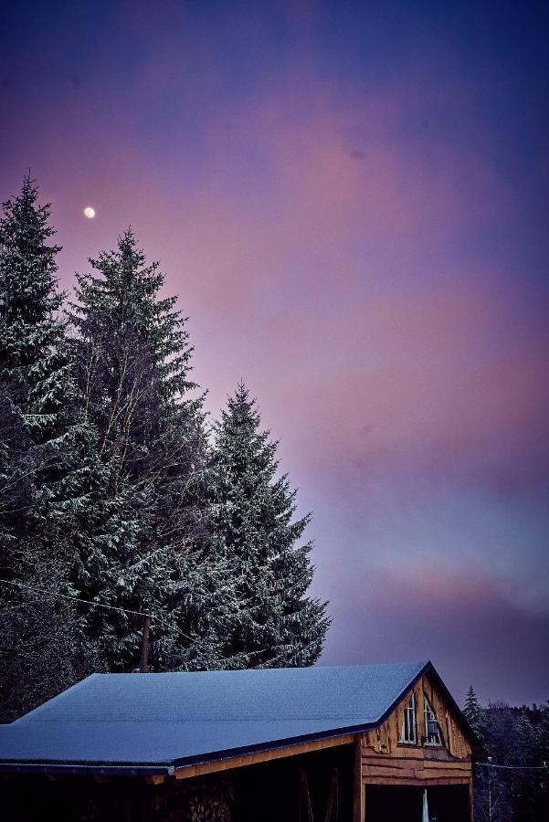 Blickinsfreie - Cabin Villa Schöneck Eksteriør billede