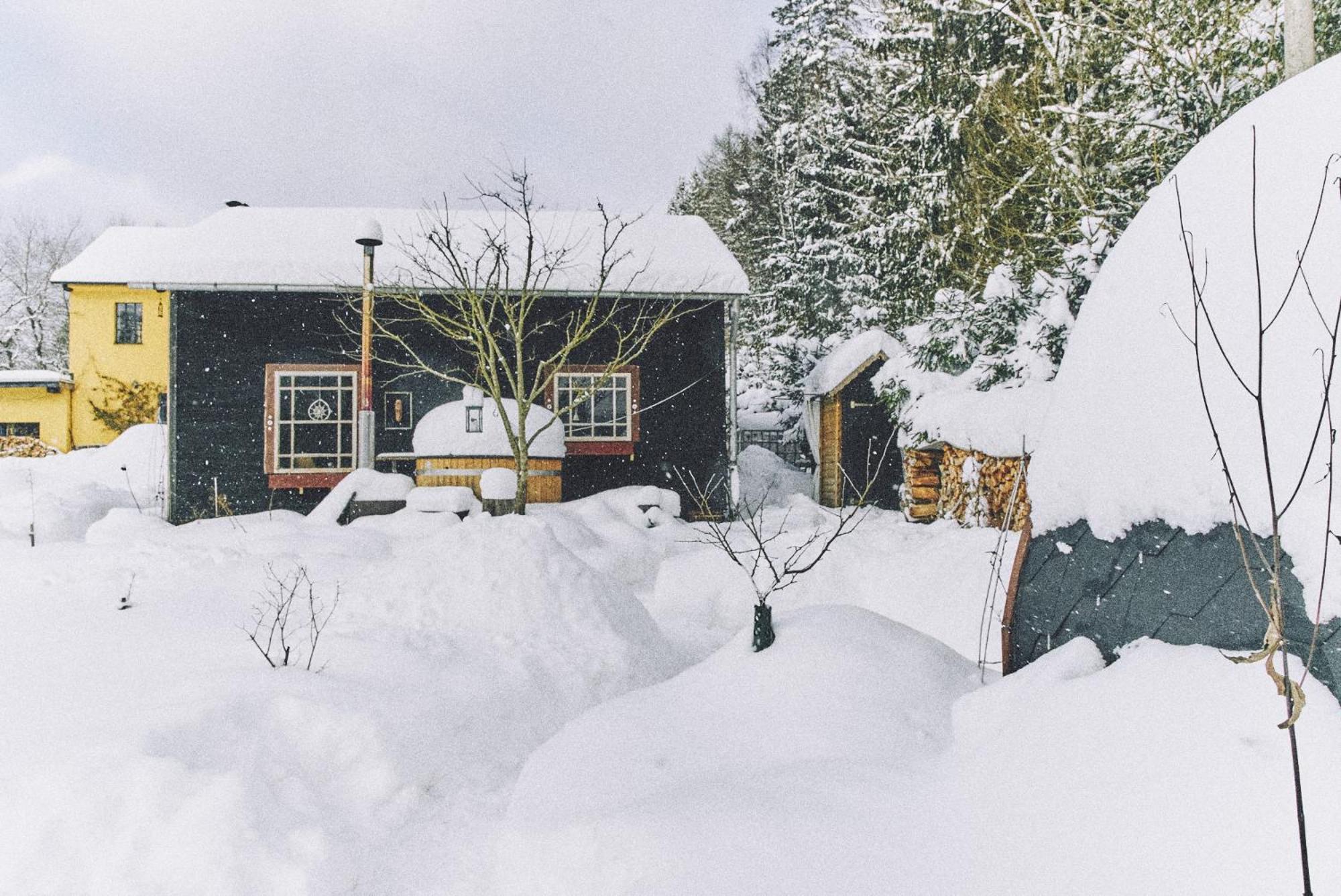 Blickinsfreie - Cabin Villa Schöneck Eksteriør billede